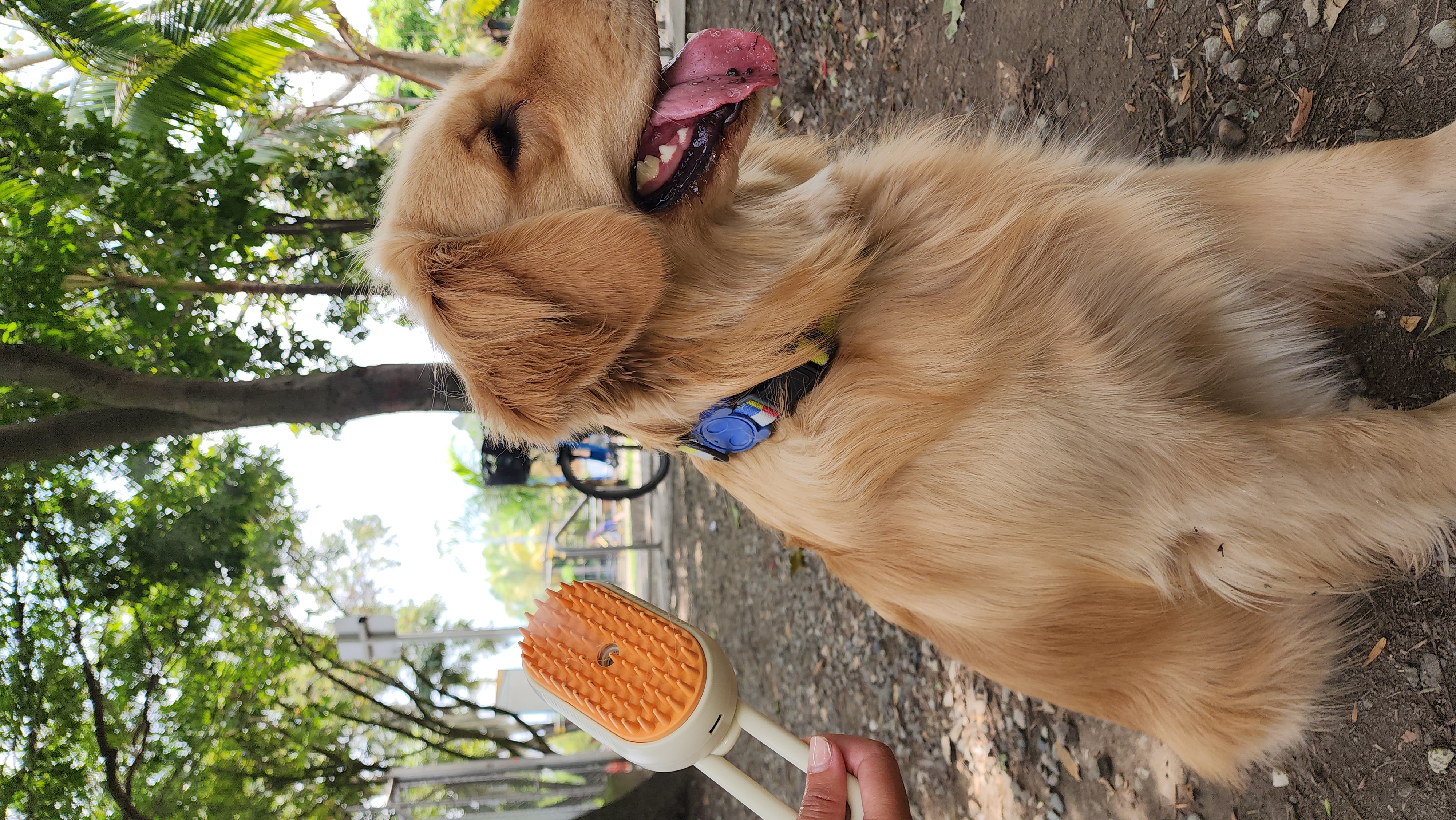 Miniatura 5 de CEPILLO VAPORIZADOR PARA MASCOTAS