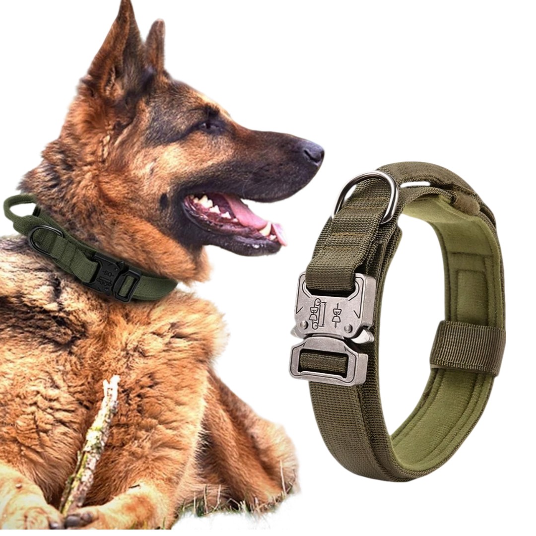 Collar Para Perro Tactico Ajustable 9