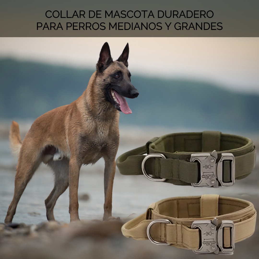 Collar Para Perro Tactico Ajustable 5