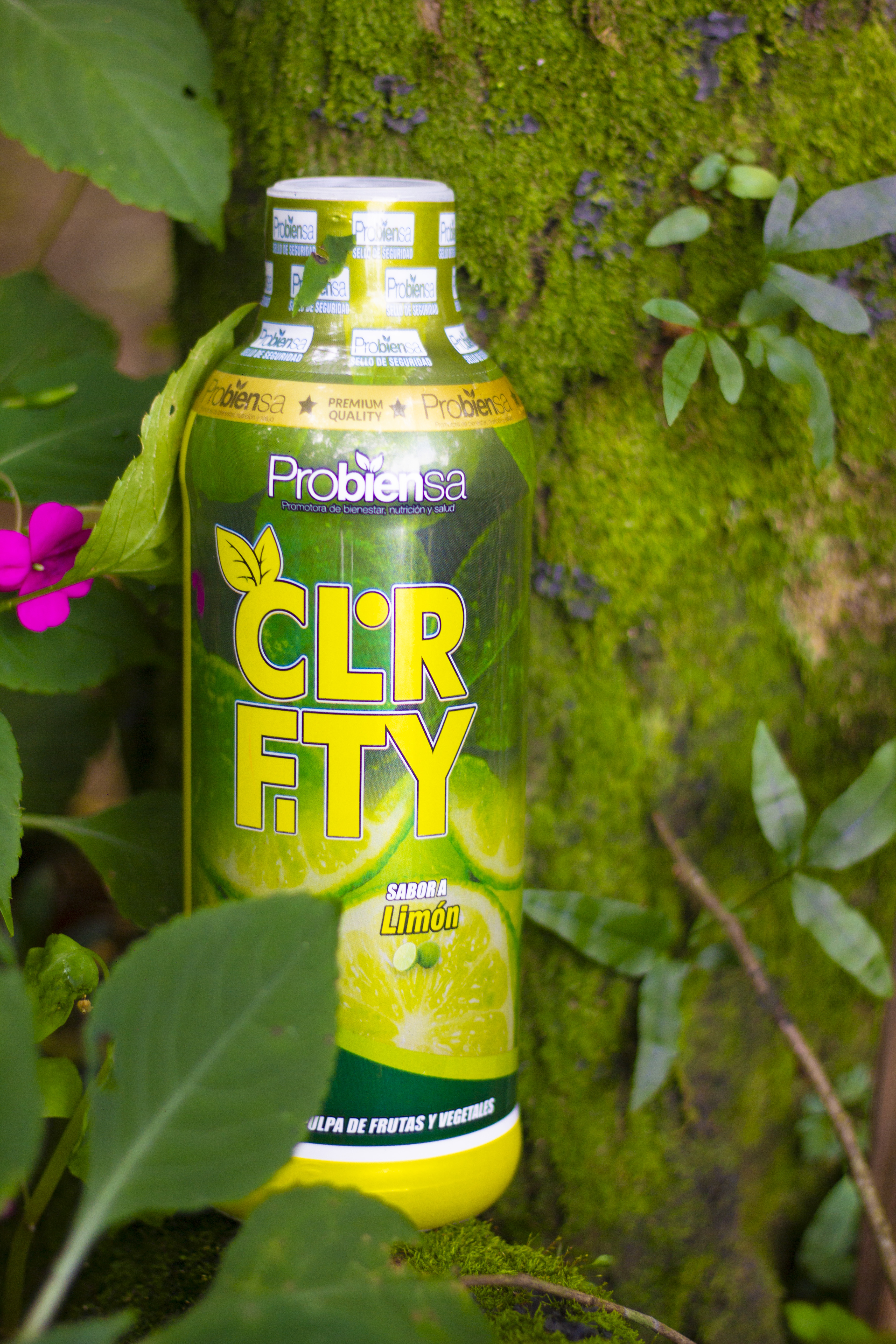 Miniatura 3 de BODY DESINTOXICADOR CLOROFITY