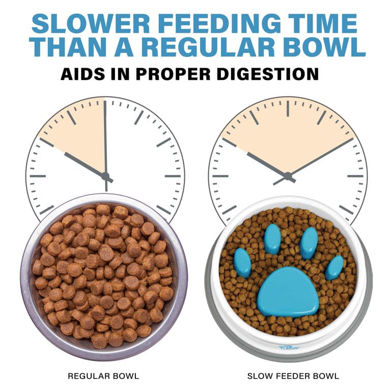 Miniatura 2 de Plato antirreflujo para mascotas