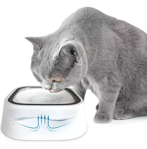 Miniatura 4 de Plato bebedero mascota