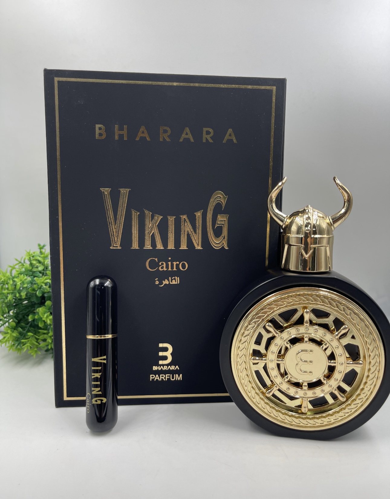 Bharara Viking Cairo 1.1