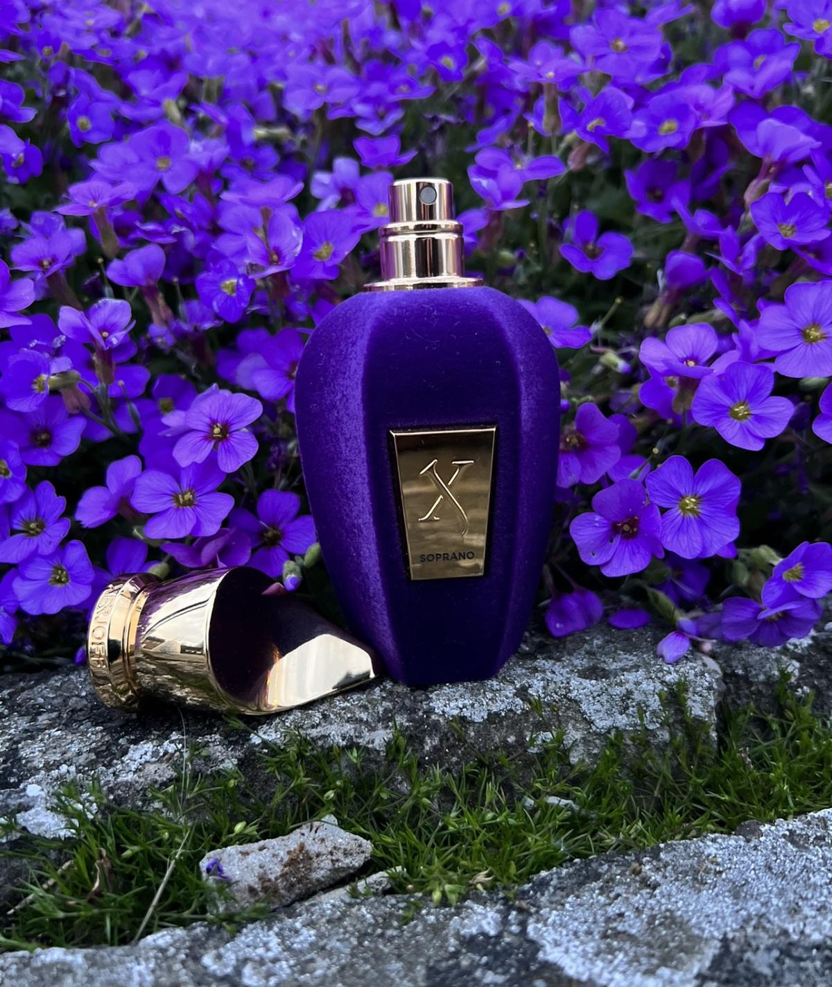 Vista 3 de Soprano Xerjoff - CALIDAD 1.1 ELIXIR: 6 A 8 HORAS