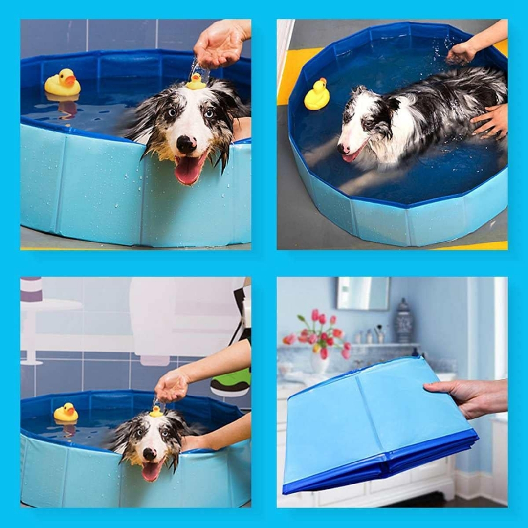 Piscina plegable portatil para mascotas