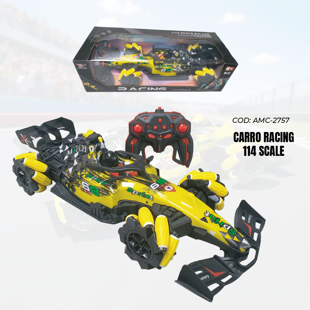 CARRO RACING 1:14 SCALE