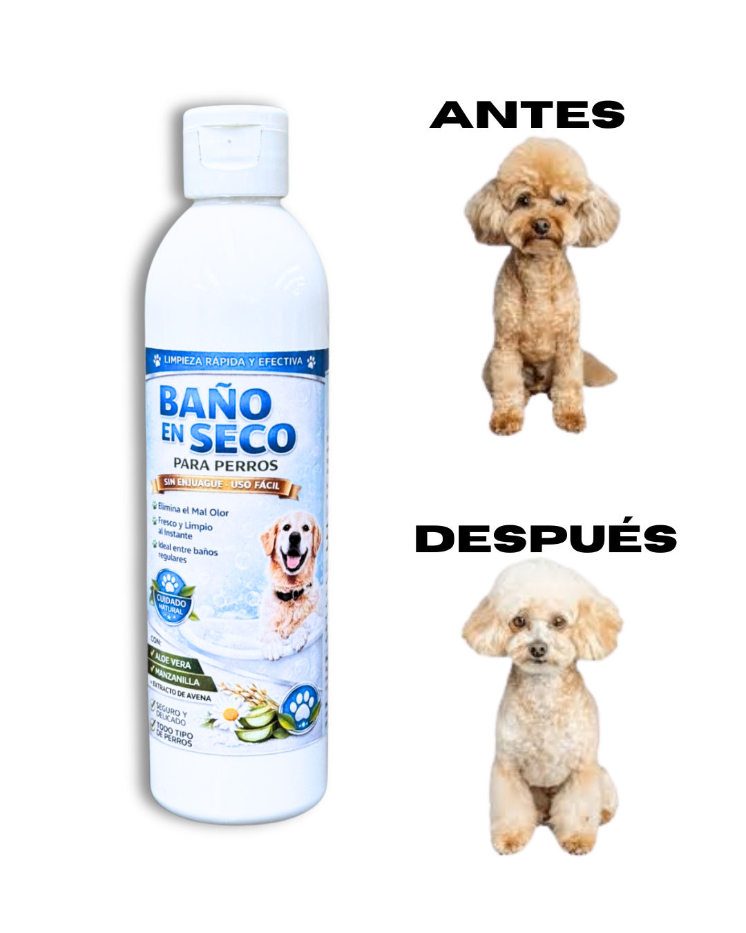 🐶✨ BAÑO EN SECO PARA PERROS