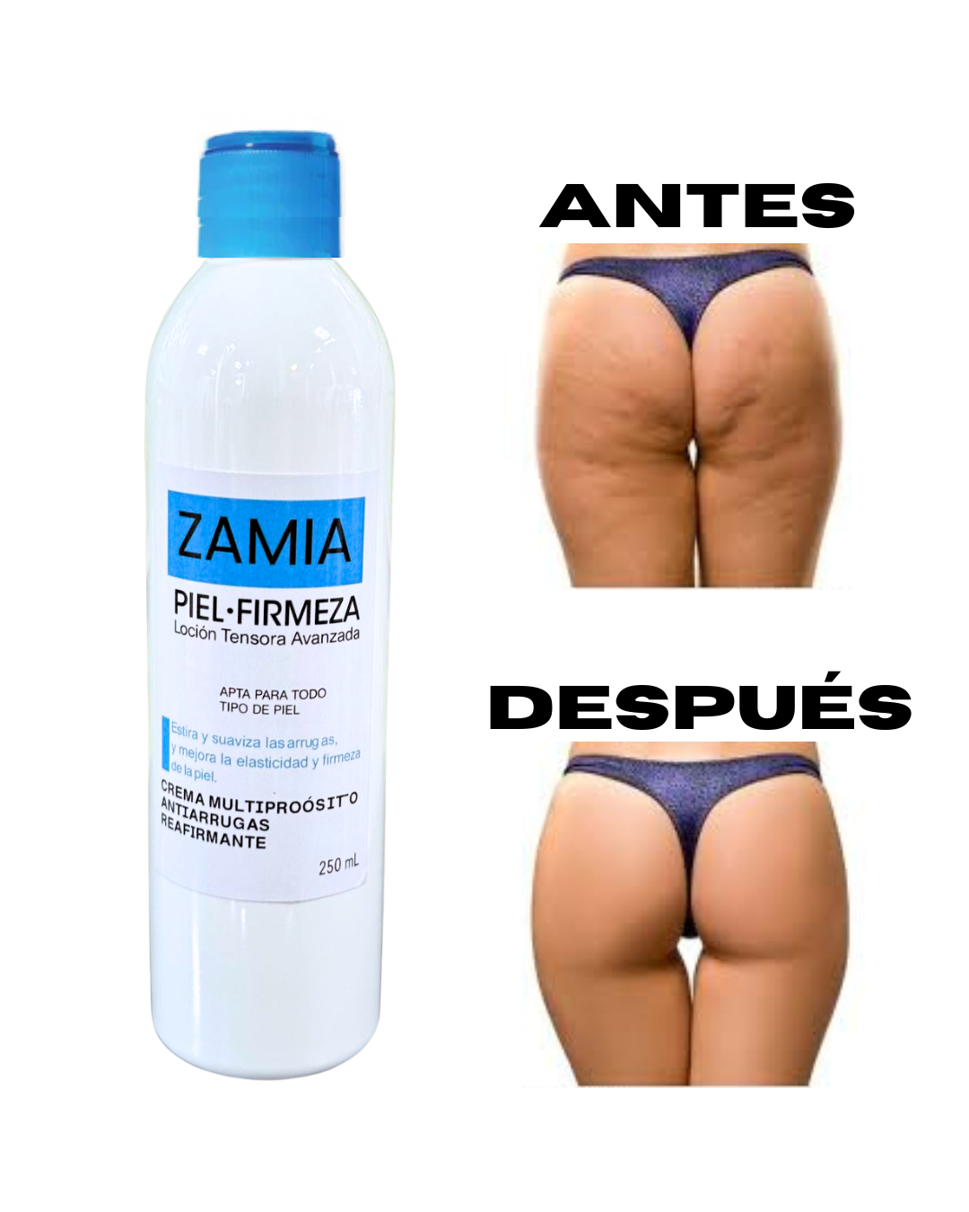 ZAMIA 🔥🦋✨ REAFIRMANTE ORIGINAL