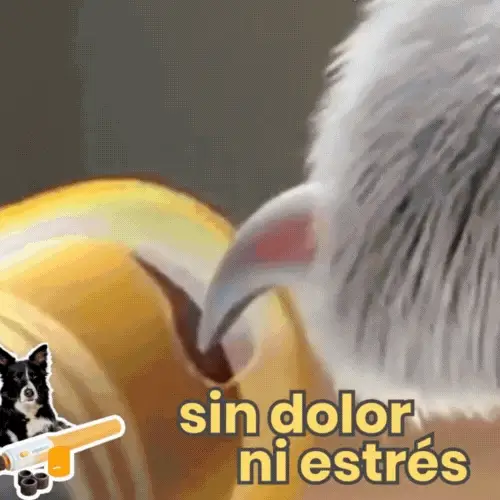 2x1 PetNailPro®LIMA PARA MASCOTAS