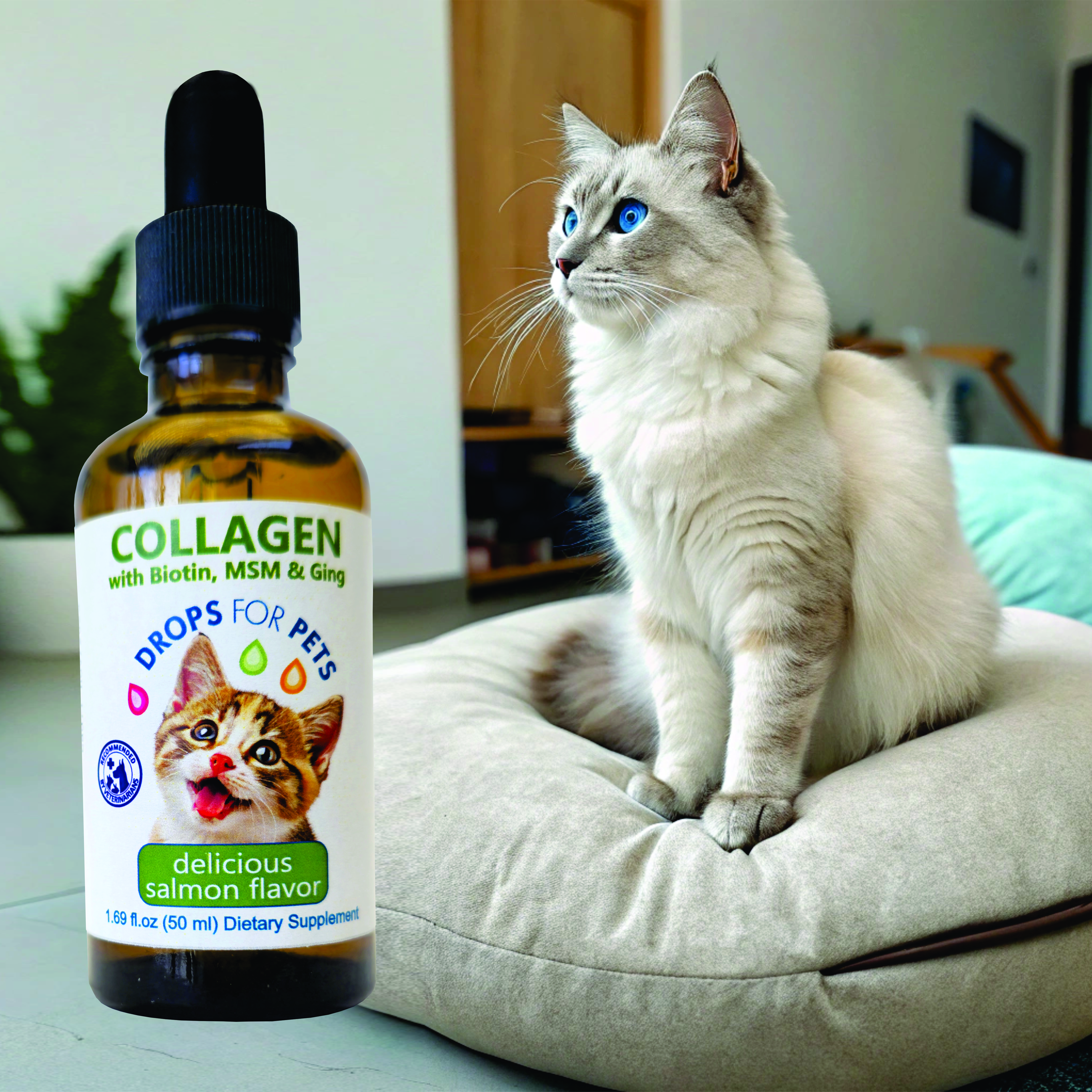 Suplemento Colágeno Gatos